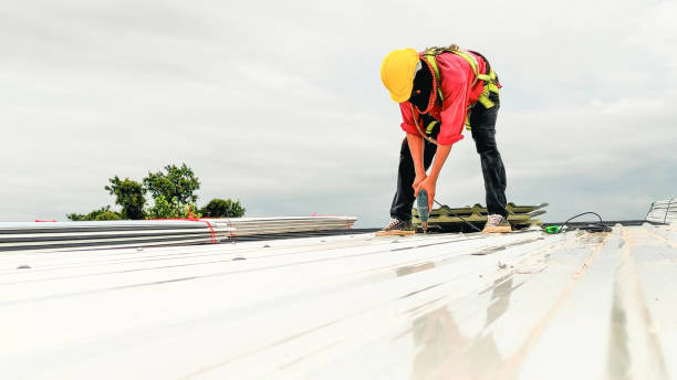 Best Metal Roofing Installation  in Elgin, SC