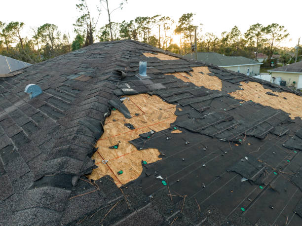 Best Roof Installation  in Elgin, SC