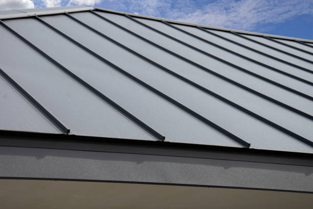 Best Roof Coating and Sealing  in Elgin, SC